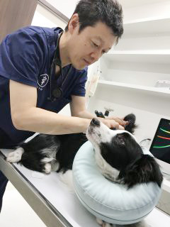 院長