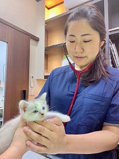 伊藤